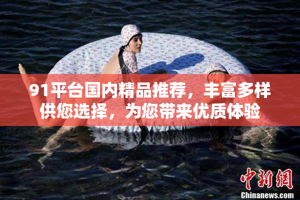 91平台国内精品推荐，丰富多样供您选择，为您带来优质体验