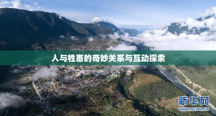 人与牲畜的奇妙关系与互动探索
