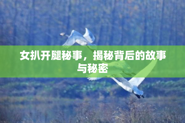 女扒开腿秘事，揭秘背后的故事与秘密