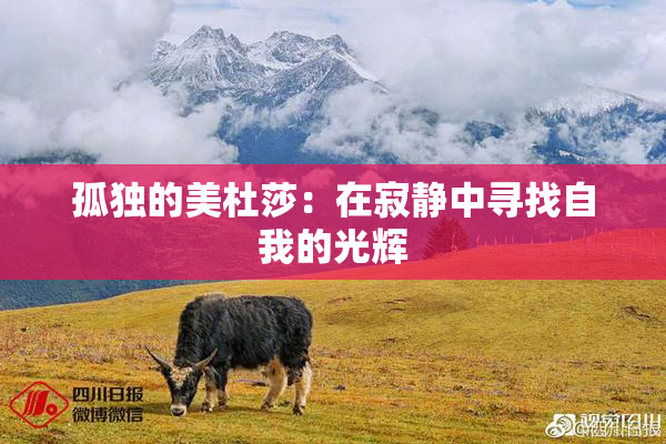 孤独的美杜莎：在寂静中寻找自我的光辉