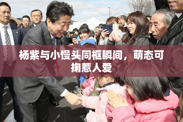 杨紫与小馒头同框瞬间，萌态可掬惹人爱