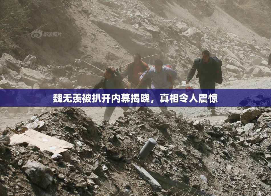 魏无羡被扒开内幕揭晓，真相令人震惊