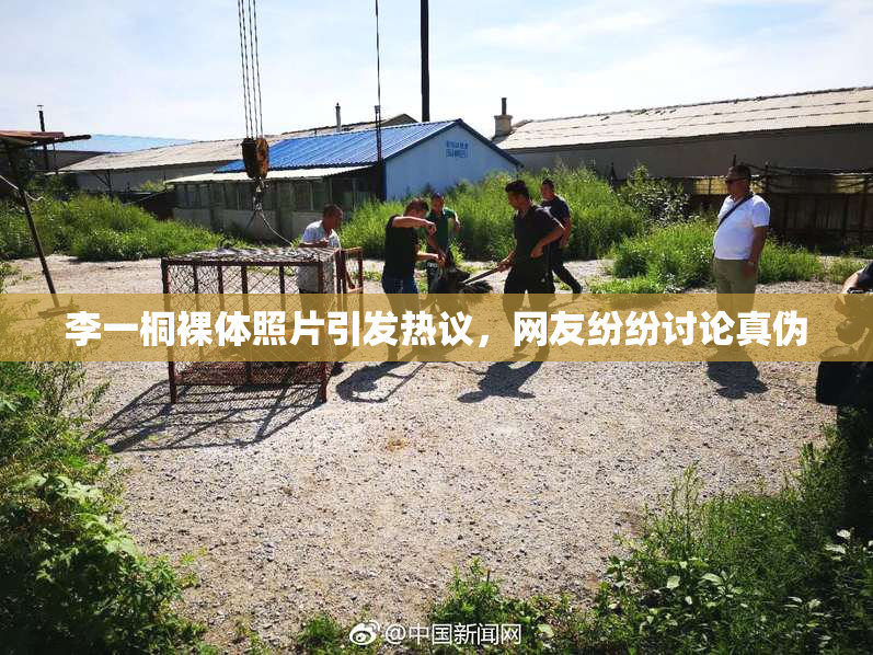 李一桐裸体照片引发热议，网友纷纷讨论真伪
