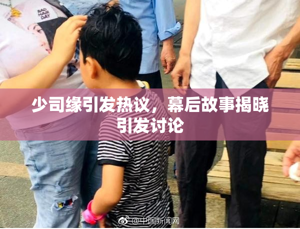 少司缘引发热议，幕后故事揭晓引发讨论