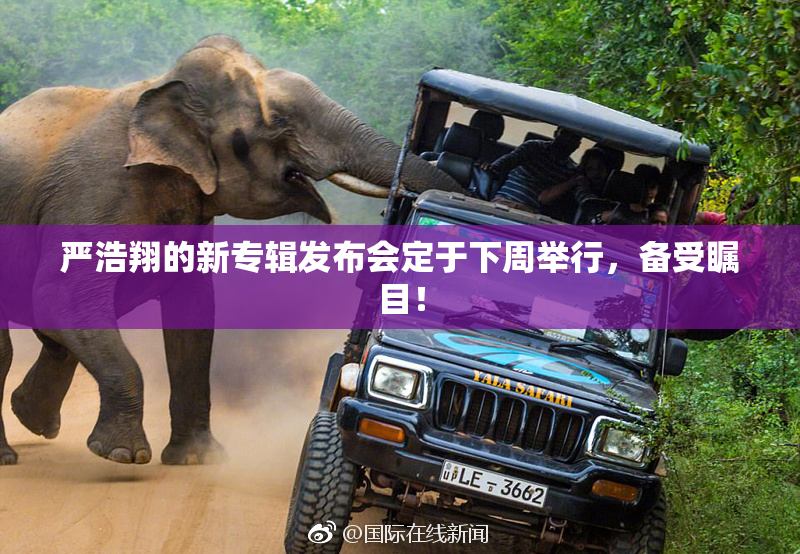 严浩翔的新专辑发布会定于下周举行，备受瞩目！