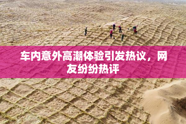 车内意外高潮体验引发热议，网友纷纷热评