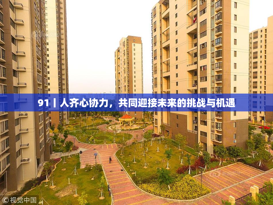 91丨人齐心协力，共同迎接未来的挑战与机遇