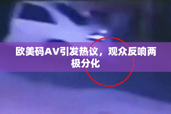 欧美码AV引发热议，观众反响两极分化