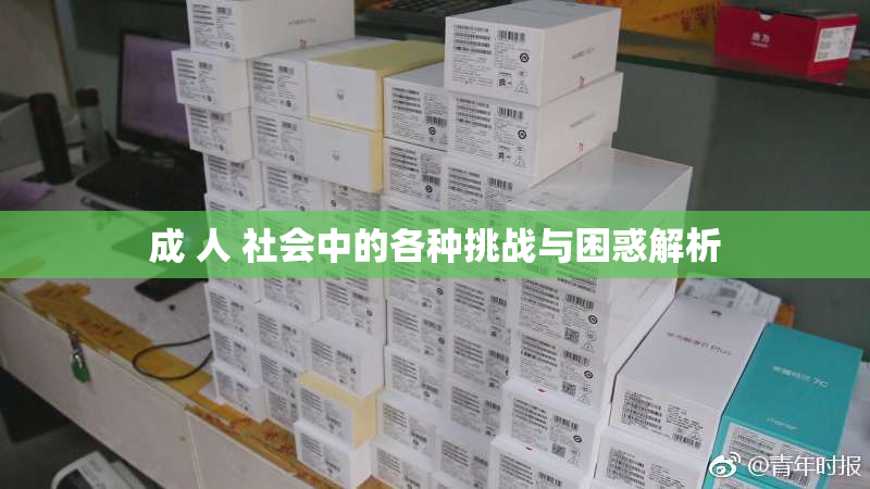 成 人 社会中的各种挑战与困惑解析