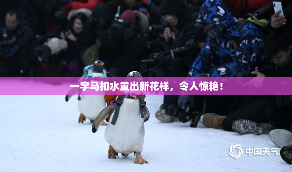 一字马扣水重出新花样，令人惊艳！