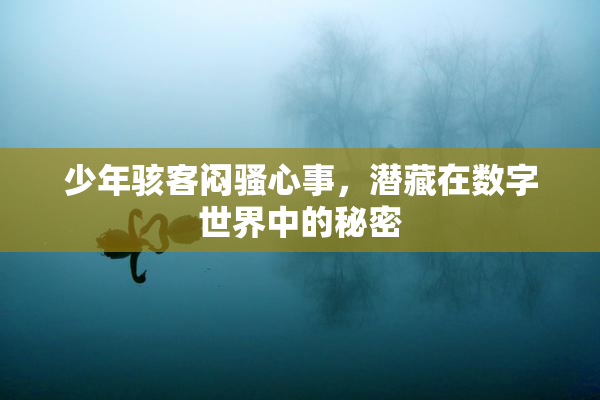 少年骇客闷骚心事，潜藏在数字世界中的秘密