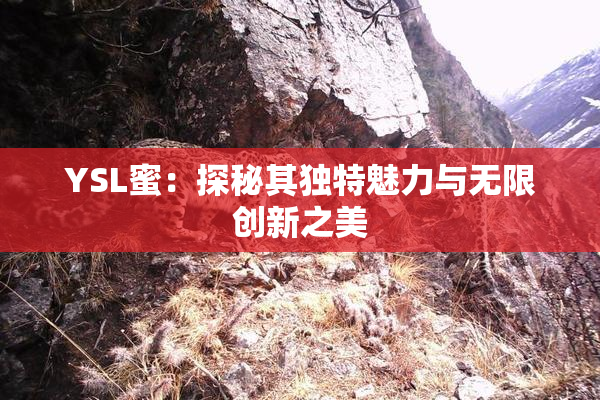 YSL蜜：探秘其独特魅力与无限创新之美