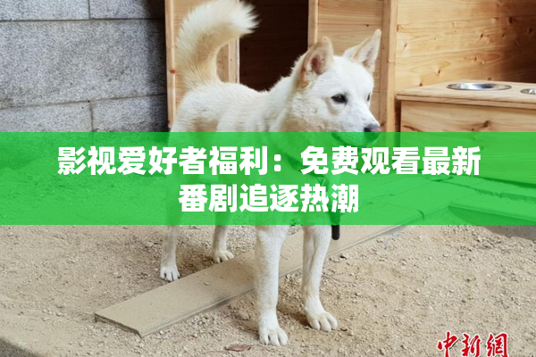 影视爱好者福利：免费观看最新番剧追逐热潮