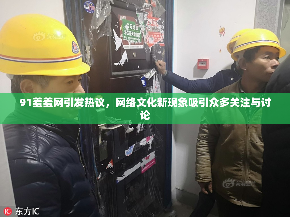 91羞羞网引发热议，网络文化新现象吸引众多关注与讨论