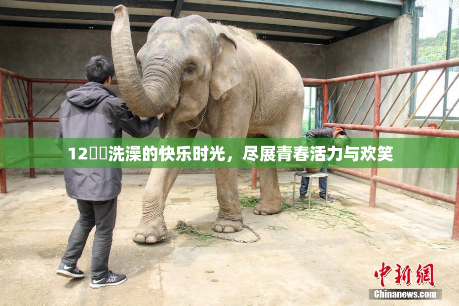 12妺妺洗澡的快乐时光，尽展青春活力与欢笑