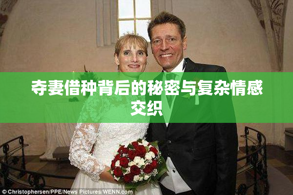 夺妻借种背后的秘密与复杂情感交织