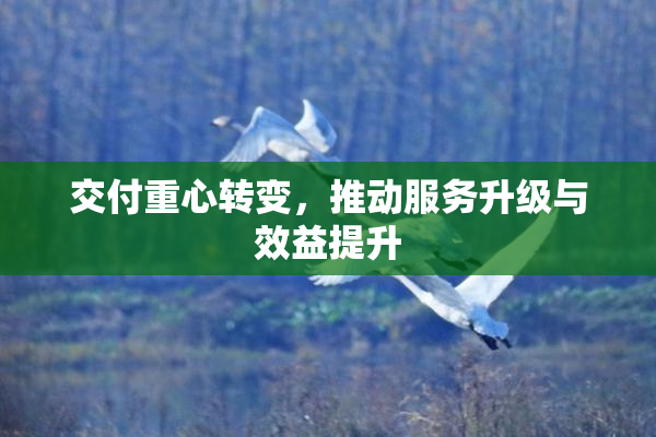 交付重心转变，推动服务升级与效益提升