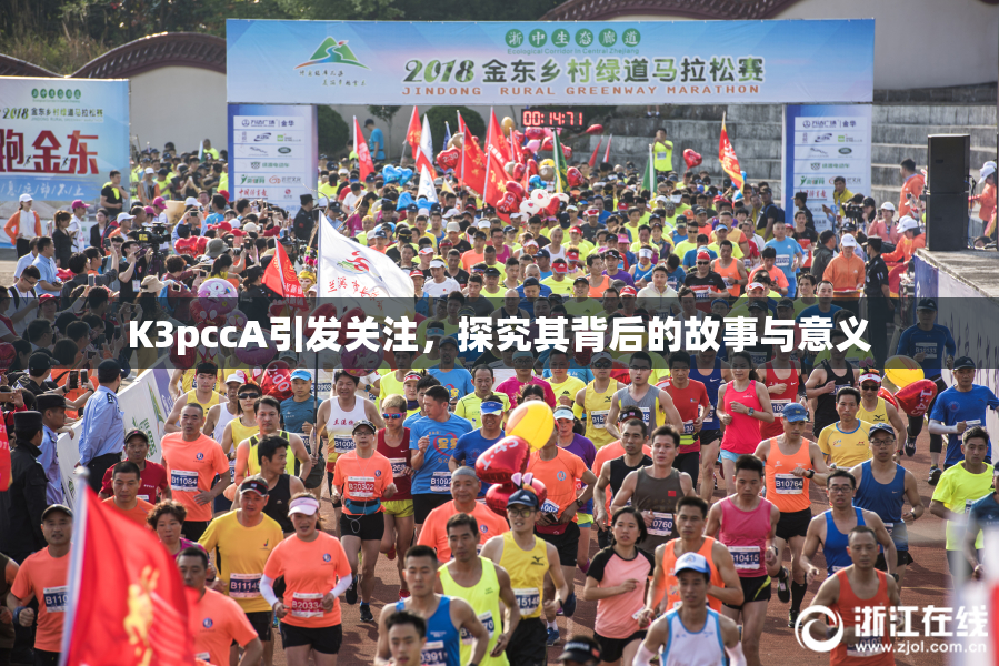K3pccA引发关注，探究其背后的故事与意义