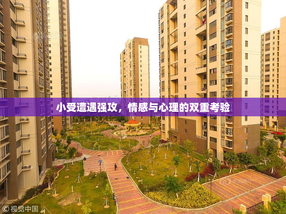 小受遭遇强攻，情感与心理的双重考验