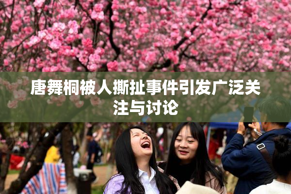 唐舞桐被人撕扯事件引发广泛关注与讨论
