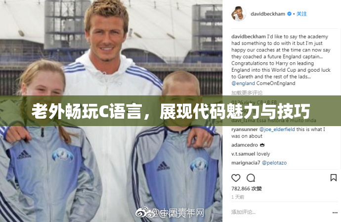 老外畅玩C语言，展现代码魅力与技巧