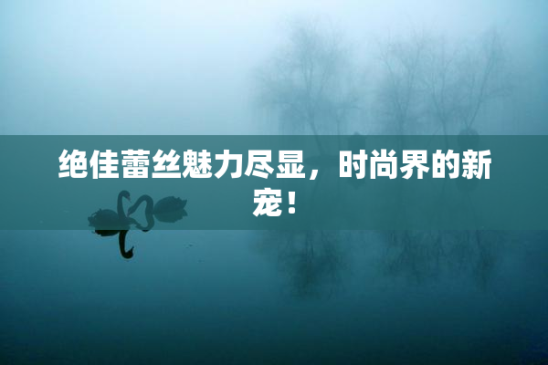 绝佳蕾丝魅力尽显，时尚界的新宠！