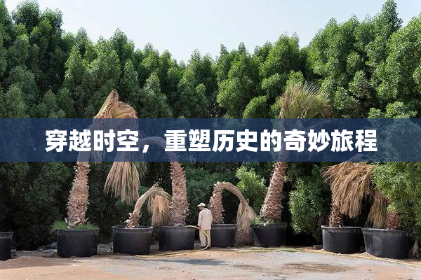 穿越时空，重塑历史的奇妙旅程