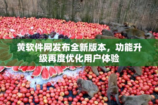 黄软件网发布全新版本，功能升级再度优化用户体验
