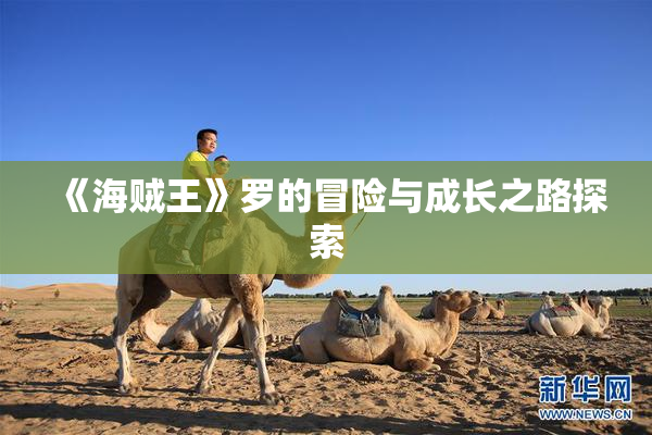 《海贼王》罗的冒险与成长之路探索