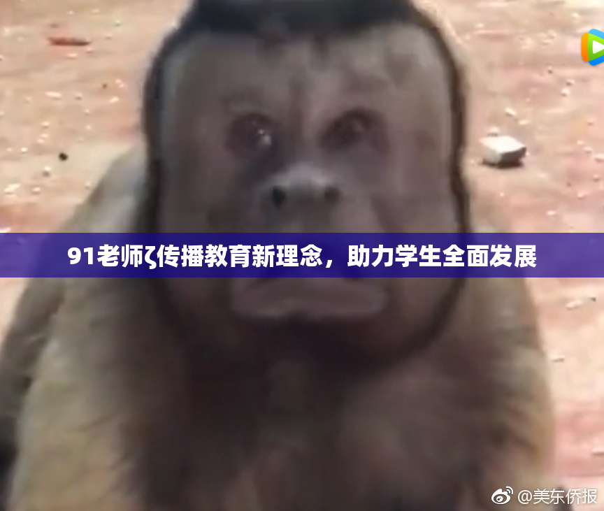 91老师ζ传播教育新理念，助力学生全面发展