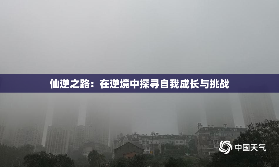 仙逆之路：在逆境中探寻自我成长与挑战