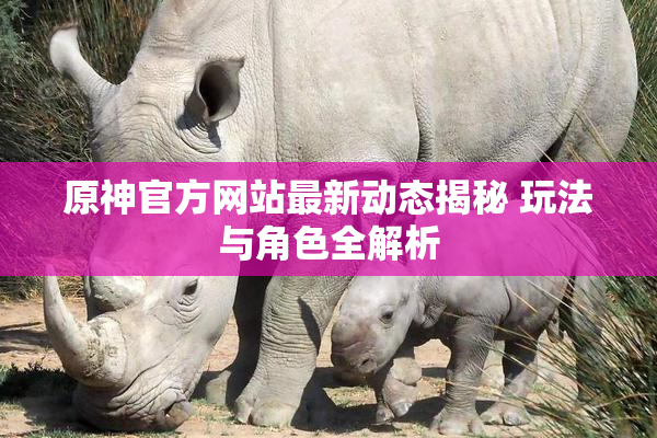 原神官方网站最新动态揭秘 玩法与角色全解析