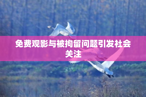 免费观影与被拘留问题引发社会关注