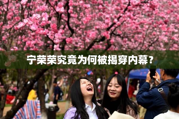 宁荣荣究竟为何被揭穿内幕？