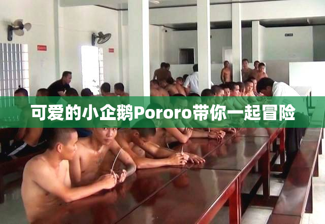 可爱的小企鹅Pororo带你一起冒险