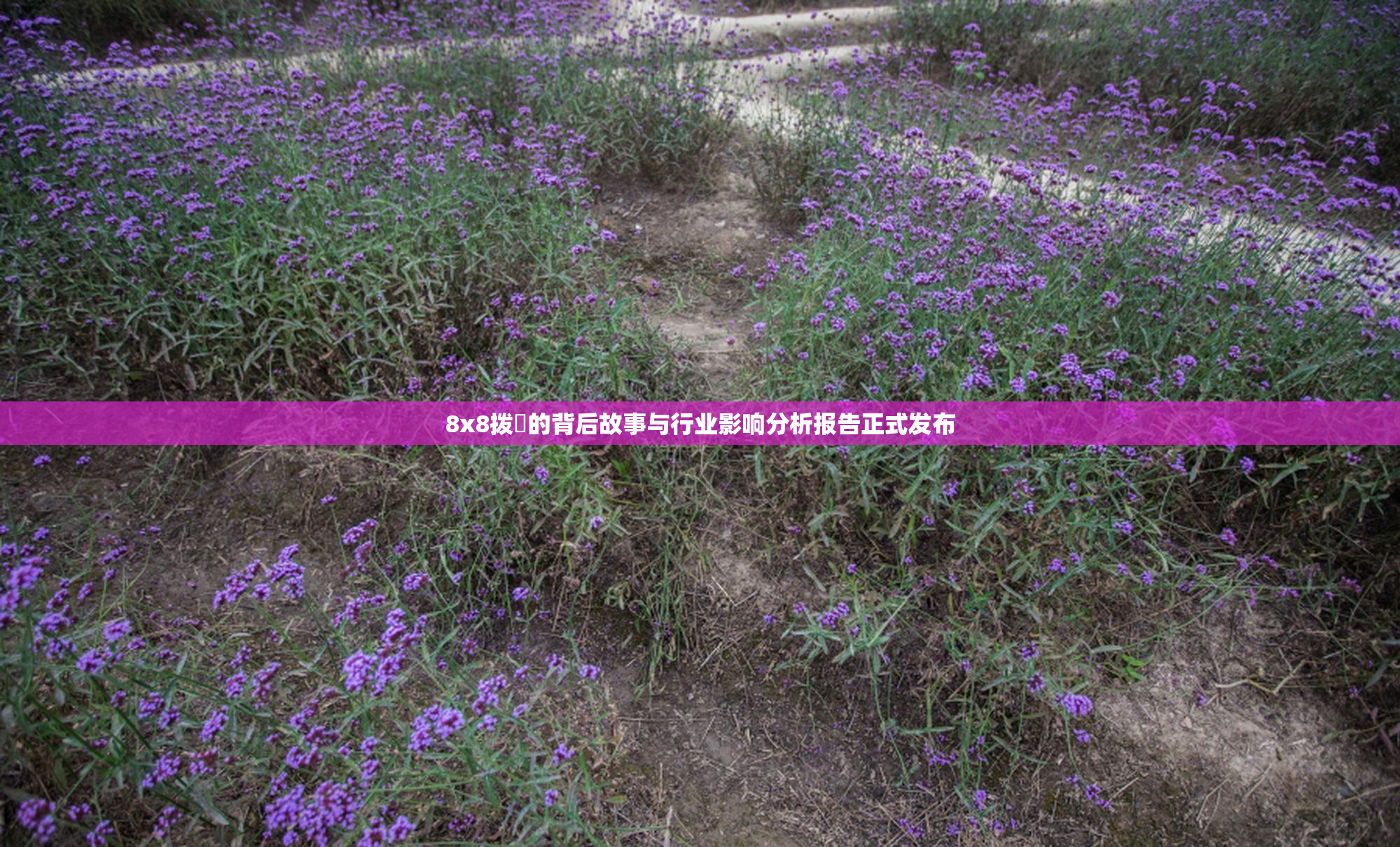 8x8拨牐的背后故事与行业影响分析报告正式发布