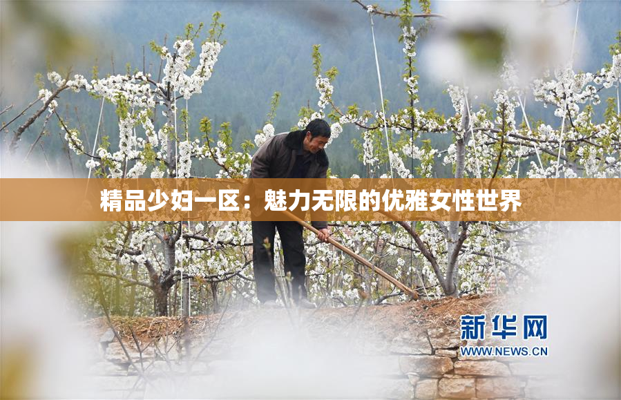 精品少妇一区：魅力无限的优雅女性世界
