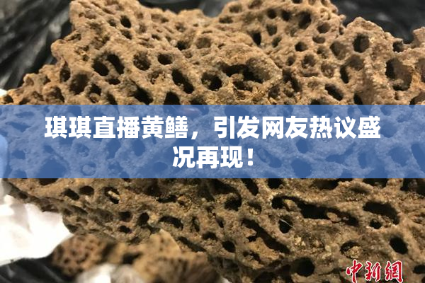 琪琪直播黄鳝，引发网友热议盛况再现！