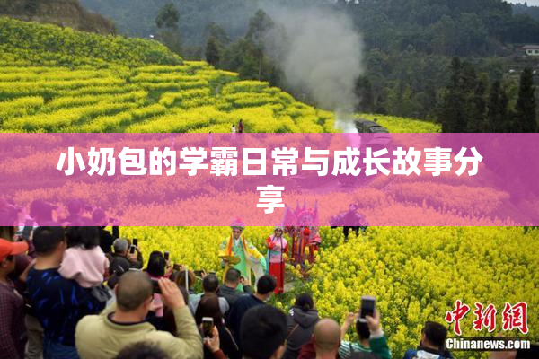 小奶包的学霸日常与成长故事分享