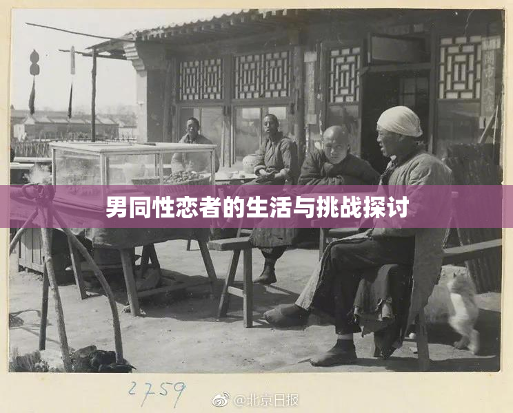 男同性恋者的生活与挑战探讨