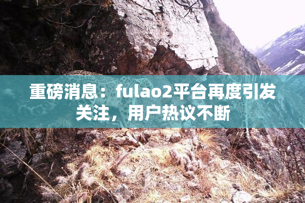 重磅消息：fulao2平台再度引发关注，用户热议不断