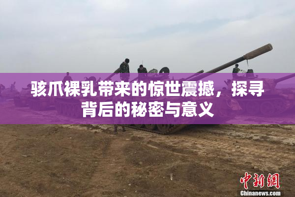 骇爪裸乳带来的惊世震撼，探寻背后的秘密与意义