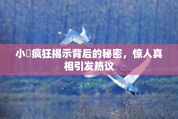 小泬疯狂揭示背后的秘密，惊人真相引发热议