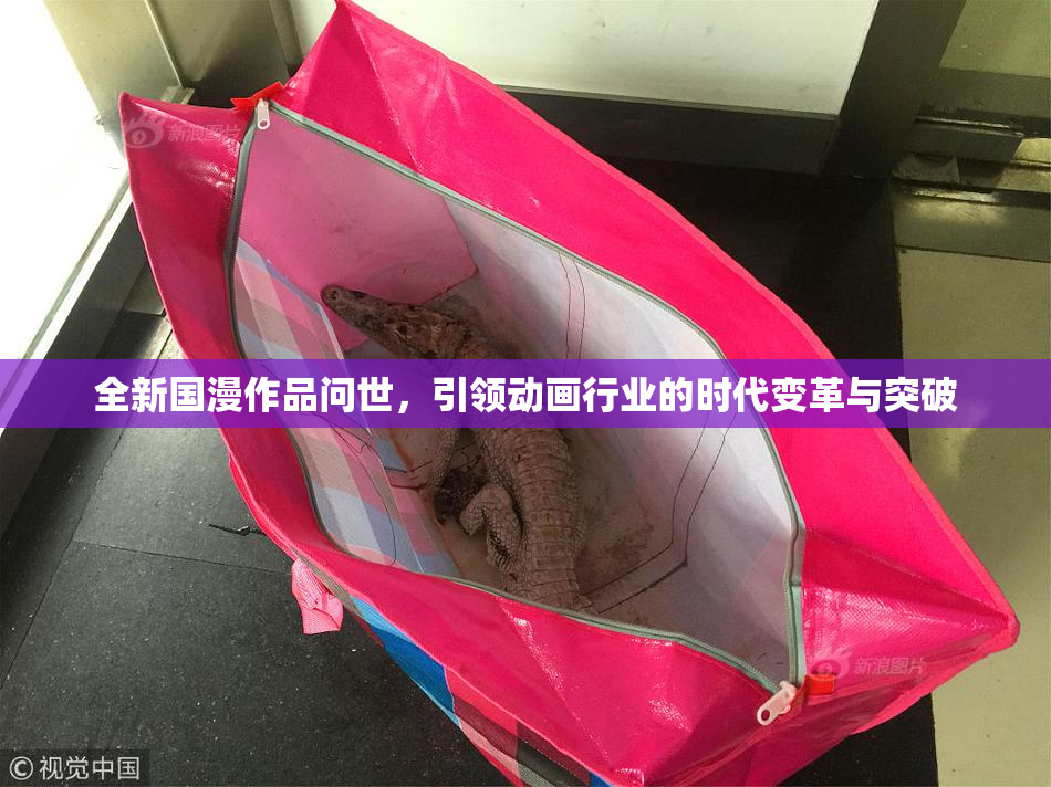 全新国漫作品问世，引领动画行业的时代变革与突破