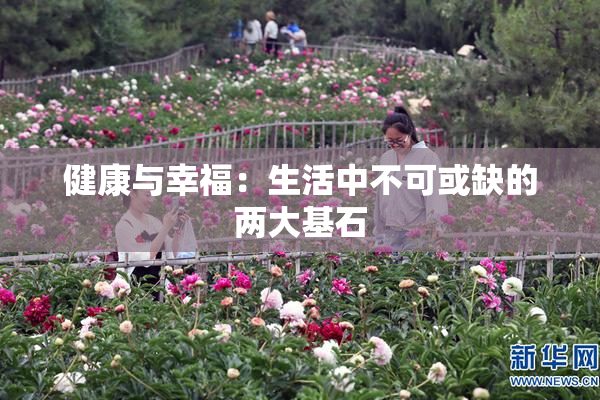 健康与幸福：生活中不可或缺的两大基石