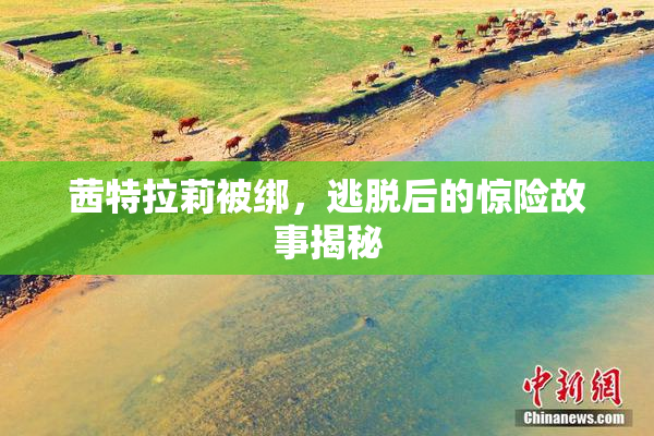 茜特拉莉被绑，逃脱后的惊险故事揭秘