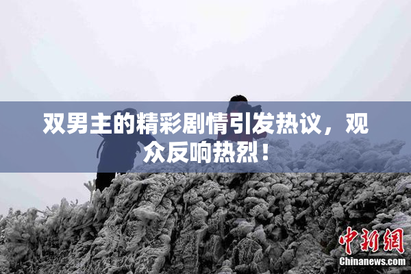 双男主的精彩剧情引发热议，观众反响热烈！