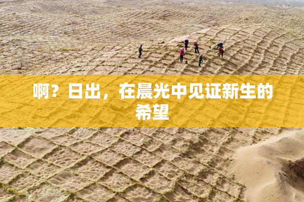 啊？日出，在晨光中见证新生的希望