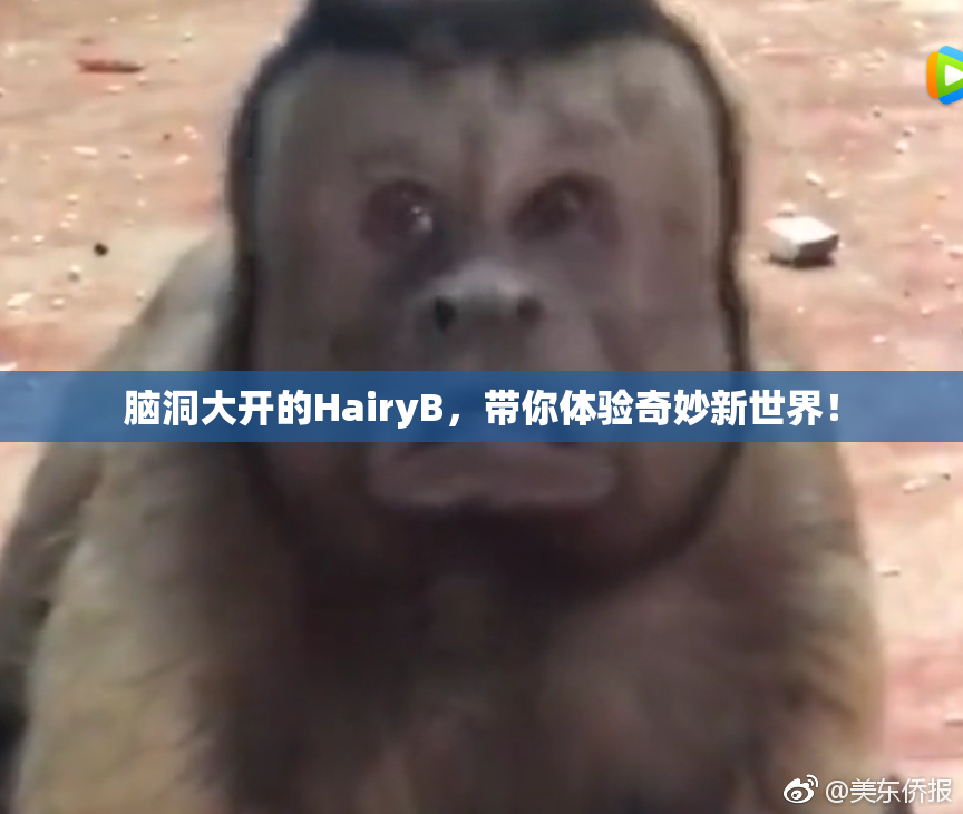 脑洞大开的HairyB，带你体验奇妙新世界！