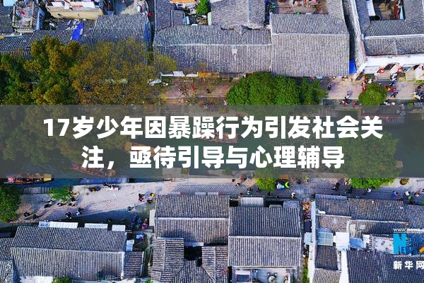 17岁少年因暴躁行为引发社会关注，亟待引导与心理辅导